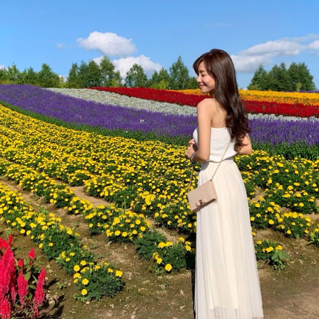 福山唯さんのインスタグラム写真 - (福山唯Instagram)「❤️💛💜🧡 . . 四季彩の丘💗 . . 一面、お花の絨毯🌼 本当にキレイだった🥺💛❤️💜 カートが借りられて自由に回れるのだけど、楽しいしおすすめでした✨✨ . . 本当に良いお天気で、眩しかったよ🙈 . .  #japan #hokkaido #flower #四季彩の丘 #北海道 #美瑛 #国内旅行 #花畑 🌻」8月29日 19時15分 - yuifukuyama