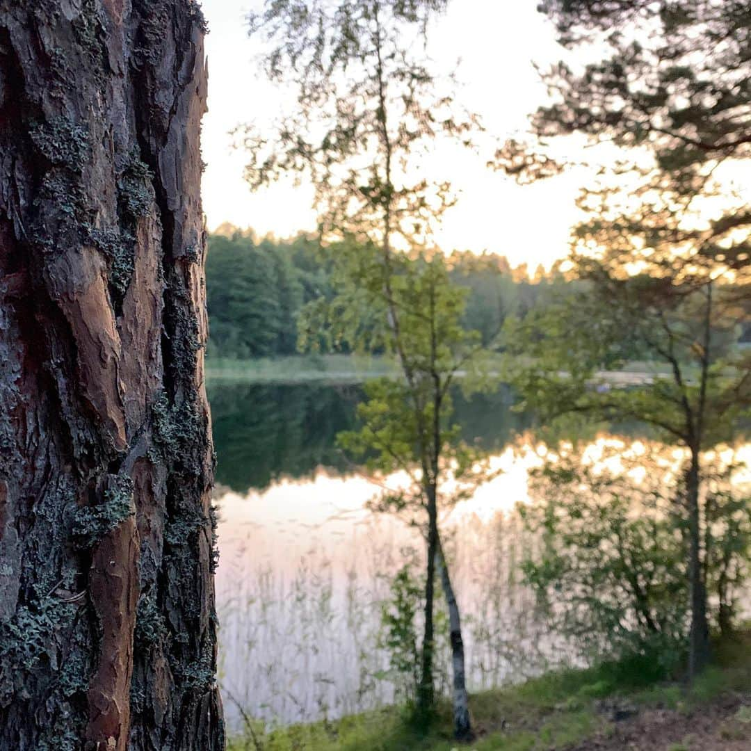 ジュリアン・ワームさんのインスタグラム写真 - (ジュリアン・ワームInstagram)「Can’t get enough of these views 🤩」8月29日 19時30分 - julewurm