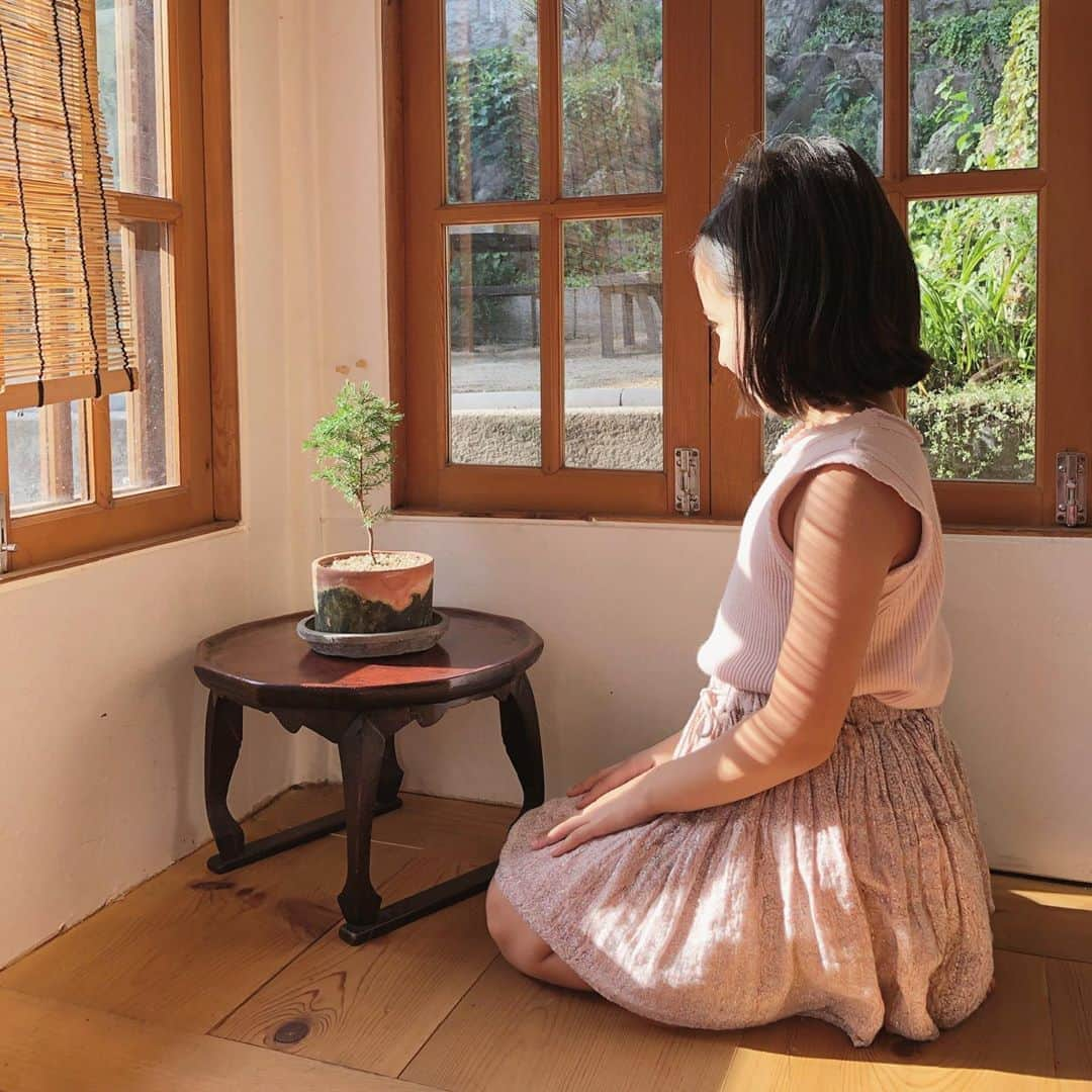 フィロとポンポンさんのインスタグラム写真 - (フィロとポンポンInstagram)「Healing in Hanok. (traditional Korean-style house)💕 #홍건익가옥」8月29日 19時38分 - philo_pompon