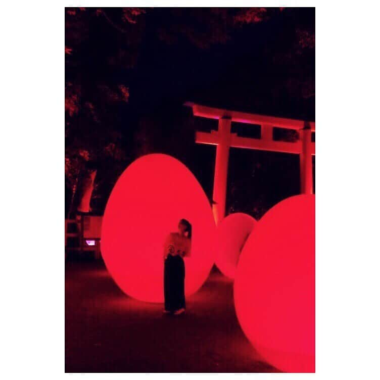 大塚愛さんのインスタグラム写真 - (大塚愛Instagram)「たまたまたまたまたまたまですよ。  AIO　#japan #art #teamlab #チームラボ #下鴨神社 #糺の森の光の祭 #kyoto #京都 #たまご #1枚目 #は #娘  #が #撮った #テクニカル #作品」8月29日 20時16分 - aiotsuka_official