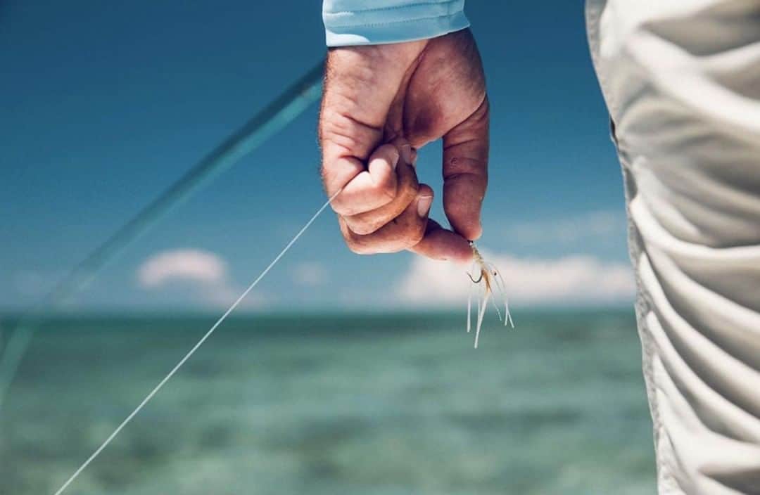 Costa Sunglassesのインスタグラム：「Match the hatch. 📷: @theflyfishingnation #SeeWhatsOutThere」