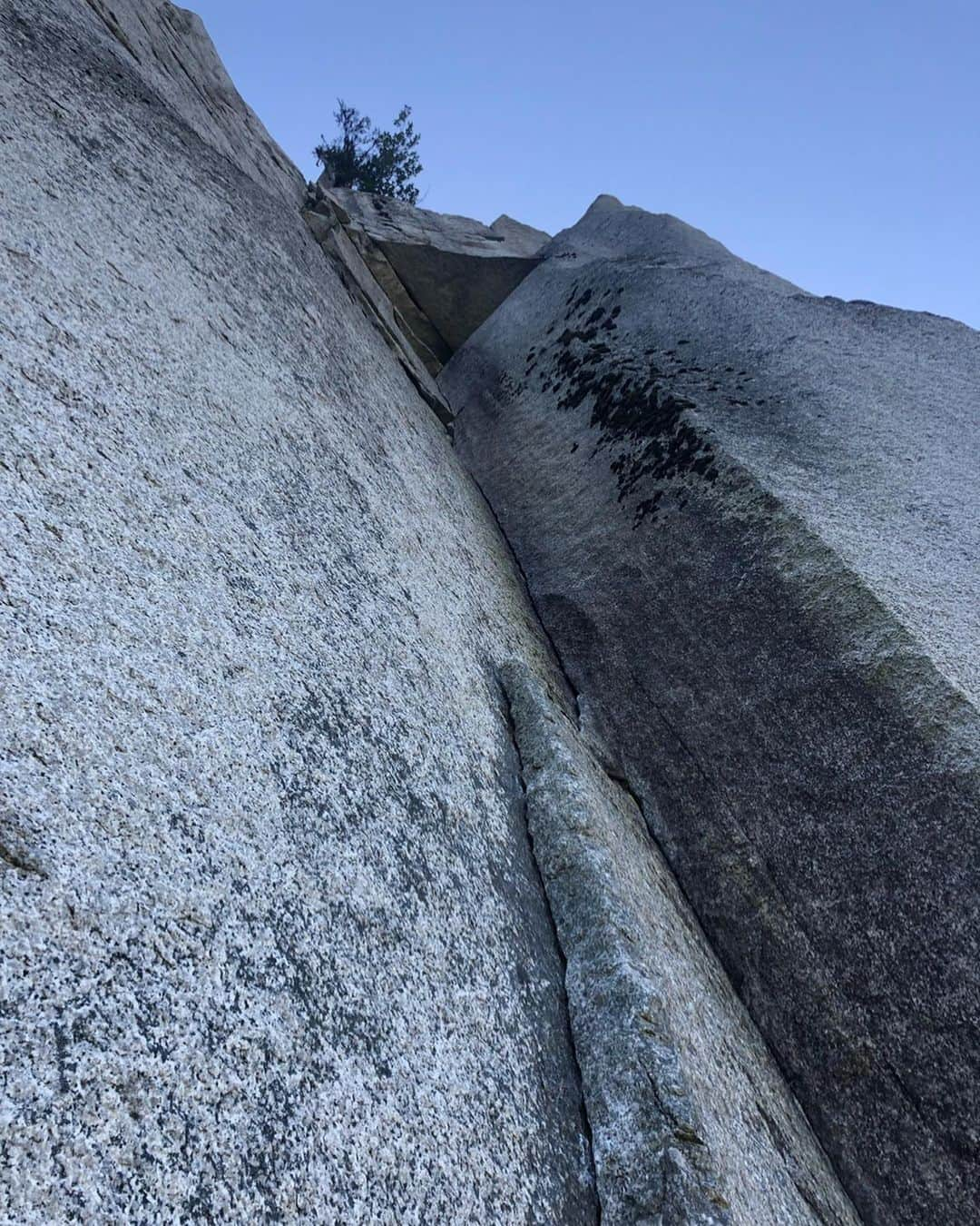 植田夢月さんのインスタグラム写真 - (植田夢月Instagram)「・ 8/27 University Wall / 5.12a, 8P﻿ 5P目まで﻿ ﻿ ﻿ "One of Canada’s most iconic routes" (カナダにおいて最も象徴的なルートの一つ)と評されるUniversity Wall。﻿ ﻿ 今回の旅で最も行ってみたかったルート。﻿ ﻿ エイド初登は1966年。フリー初登者はPeter Croft。2014年には、Alex Honnoldが、その先のRoman Chimneys含めてフリーソロしている。﻿ ﻿ ﻿ トポには、"The first 120m…is the most powerful line on the Chief"(最初の120mはChiefの中で最もパワフルなライン)と書かれている。﻿ ﻿ そのハードさは想像を超えていて、5.12aがつけられている最初の2Pをフォローしただけで、身体も心もメタメタにされてしまった。﻿ ﻿ グレードを尺度にするのもナンセンスだが、私の知っている5.12-の中で、最もハードに感じた。﻿ クラックスキルも必要だが、それに加えて、乏しいフットを信じて難所をパワフルに突破できるような力が必要と感じた。﻿ ﻿ こんなに急峻で不安定な体勢が続くラインを、私はリードできるだろうか？想像しただけで怖い。﻿ ﻿ 4P目の5.11aから傾斜はやや和らぐ。﻿ リードに挑戦してみたが、擦り減った身体と心では、ギリギリの状態で突っ込むことができなかった。テン山でなんとか抜けた。﻿ 夜が迫っていたので、5P目を夫が登った後に下降。﻿ ﻿ ﻿ 取付きに降りて、University Wallを見上げて、私はなんて弱いんだろう、と暗澹とした。﻿ でも、こういうラインをこそ、登れるようになりたいんだ。自分の全てを出し尽くすようなライン。そういうラインに出会えたことは幸せだ。もう一度トライしてみたい。﻿ ﻿ ﻿ …と思っていた矢先に、トレイルを下山中に右足を捻ってしまった。Nooooooo…!!!!﻿ 軽めの捻挫だけど、内転すると痛い方向に捻ってしまって、このツアー中フットジャムできるようになるかどうか怪しい。どうなる私のツアー。﻿ずーん。 ﻿ ﻿ 1枚目: 取付きから見上げたUniversity Wall﻿ 途中のオープンブックがThe Shadow / 5.12d﻿ 上の木のあたりが4P目終了点﻿ 2枚目: 1P目 / 5.12a﻿ 3枚目: 4P目 / 5.11a﻿ 4枚目: 5P目 / 5.10d」8月30日 6時50分 - dream_moco