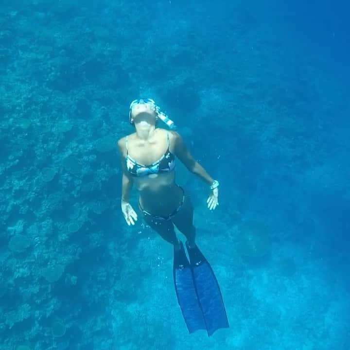 のインスタグラム：「もう少しもう少しだけ息をしなくてもいい世界に入れたらどんなに幸せなことか。  やっとリラックスして潜る感覚が芽生えてきたかな。  カニは🦀えら呼吸なのに陸にいる時間が多い。 彼らは足から海水を、吸収してダイバーのタンクみたいに背負って陸にいるみたい。  人類の生物は生きていくためのスペックが体に備わっているなんて、なんて素敵なの。  来月9月30日はプロフリーダイバーの篠宮龍三さんのスキンダイビングツアーがありますよー！  #skindiving #miyakojima#diving  #gopro #🇯🇵#🧜‍♀️marinstagram🌺 #🧜🏻‍♀️ #🦀 #🐠 #🌴 #island #beachgirls #roxylife#roxyjapan  #スキンダイビング#シュノーケル#ヨガ#宮古島ヨガリトリート#宮古島サップヨガリトリート#宮古島#沖縄#タビジョ#海#えら呼吸#人魚 #アリエルになりたい🧜‍♀️ #なれるかな#島暮らし#海のある生活 #ゴープロのある生活」