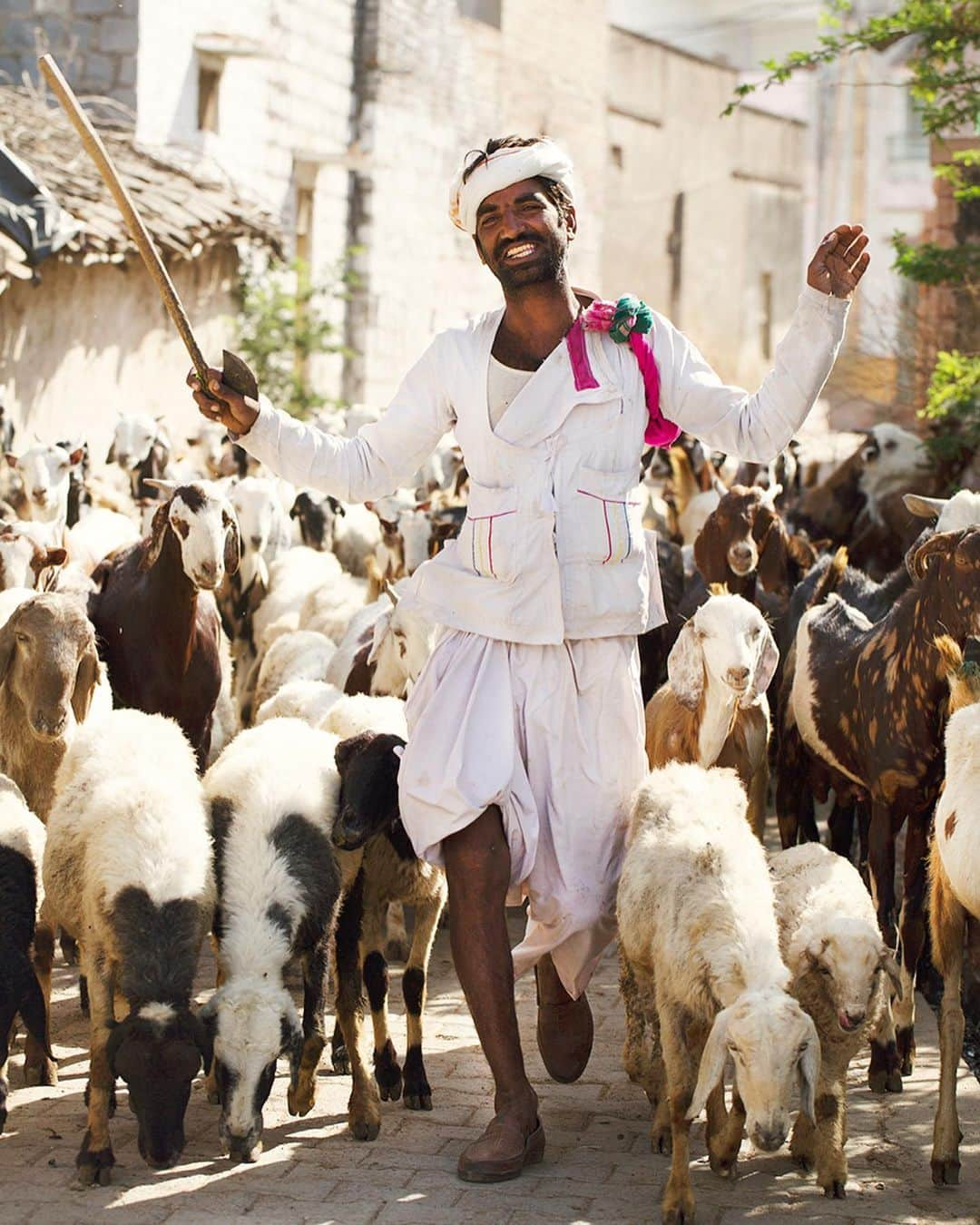 スコット・シューマンさんのインスタグラム写真 - (スコット・シューマンInstagram)「This was almost the cover of my India book! We were driving to our next location in rural Rajasthan when I saw this happy shepherd walking through a tiny tiny village. Maybe it was his happiest day ever or maybe he’s just a happy man but even from a few blocks away I could see his glow! That encounter was one of my most joyous! Thank you Happy Shepherd! (Click the link in bio to pre-order my next book The Sartorialist:India)」8月29日 23時59分 - thesartorialist