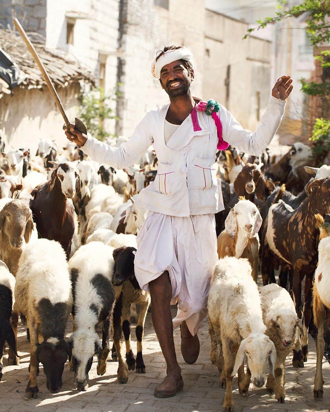 スコット・シューマンのインスタグラム：「This was almost the cover of my India book! We were driving to our next location in rural Rajasthan when I saw this happy shepherd walking through a tiny tiny village. Maybe it was his happiest day ever or maybe he’s just a happy man but even from a few blocks away I could see his glow! That encounter was one of my most joyous! Thank you Happy Shepherd! (Click the link in bio to pre-order my next book The Sartorialist:India)」