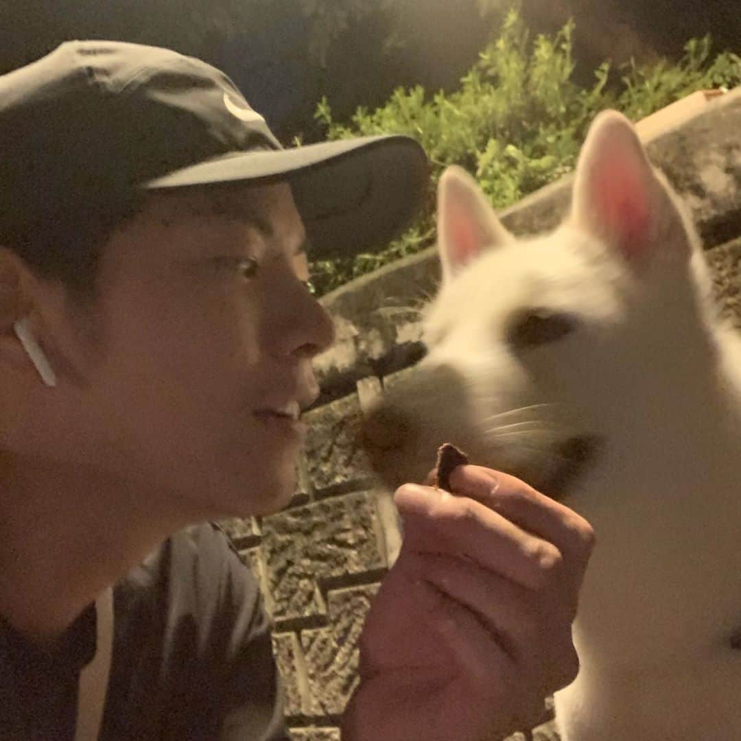 ホン・ジョンヒョンさんのインスタグラム写真 - (ホン・ジョンヒョンInstagram)「시원하다-🤠」8月30日 0時07分 - hjonghyun