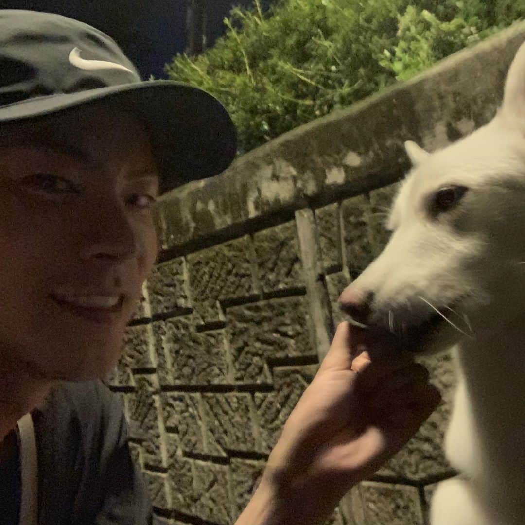 ホン・ジョンヒョンさんのインスタグラム写真 - (ホン・ジョンヒョンInstagram)「시원하다-🤠」8月30日 0時07分 - hjonghyun