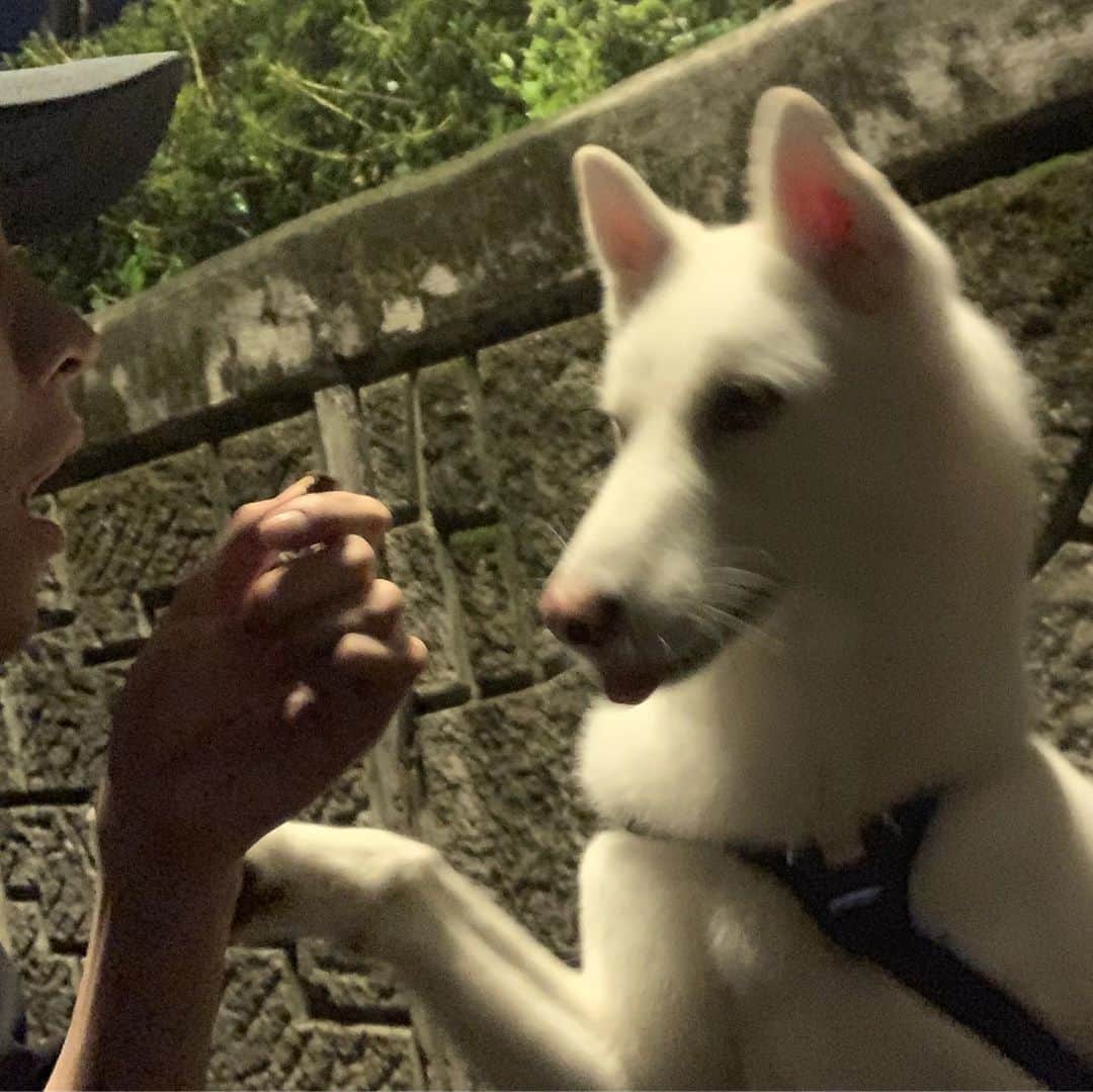 ホン・ジョンヒョンさんのインスタグラム写真 - (ホン・ジョンヒョンInstagram)「시원하다-🤠」8月30日 0時07分 - hjonghyun