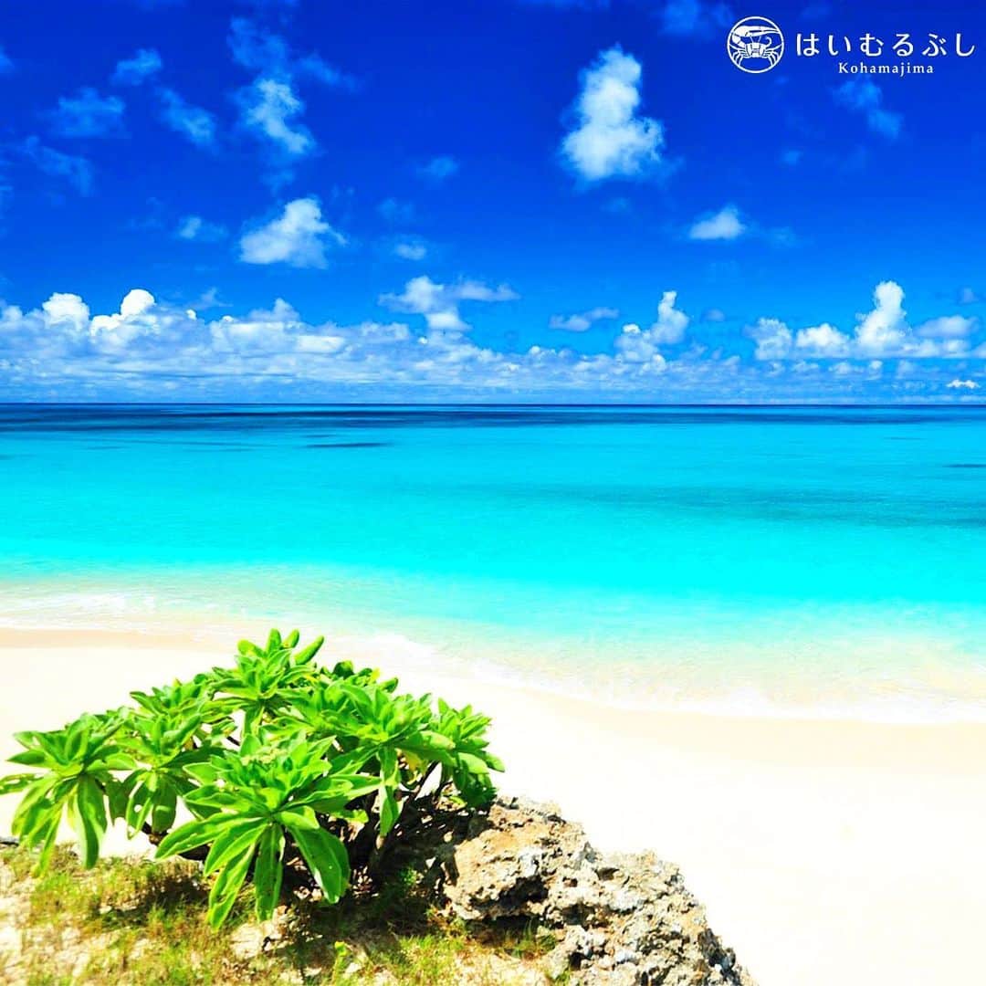 HAIMURUBUSHI はいむるぶしさんのインスタグラム写真 - (HAIMURUBUSHI はいむるぶしInstagram)「日本国内屈指の美しいビーチ波照間島のニシ浜。真っ白な砂浜と波照間ブルーと呼ばれる真っ青な海が魅惑的な海景が広がっています。 #沖縄 #八重山諸島 #波照間島 #ニシ浜 #海景 #小浜島 #リゾート #はいむるぶし #japan #okinawa #yaeyamaislands #hateruma #bluesea #whitebeach #kohamaisland #beachresort #haimurubushi」8月30日 0時46分 - haimurubushi_resorts
