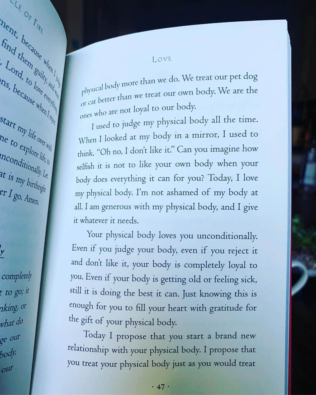 カルーシェ・トランさんのインスタグラム写真 - (カルーシェ・トランInstagram)「I recently read a DM from someone that said “You’re still reading self help books?? How many times can you be told to love yourself?” What a fucking dumbass. I will continue to read as many self help books as my mind, body and soul desires. By consistently pouring love into myself, I will consistently grow and blossom. If I have to read self help books for the rest of my life in order to be happy and cherish the things in life that money can’t buy.. well then that’s exactly what I’m going to do. Self love has no time limit.. no expiration date. This is a forever thing. So yes, I’m still reading self help books because I love myself ❤️ Book: ‘The Circle of Fire’ by Don Miguel Ruiz」8月30日 1時38分 - karrueche