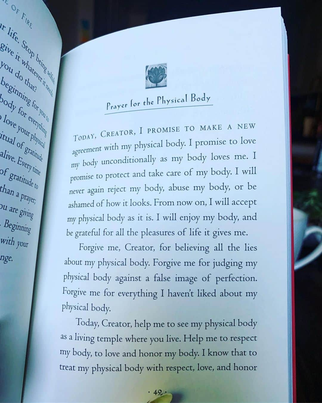 カルーシェ・トランさんのインスタグラム写真 - (カルーシェ・トランInstagram)「I recently read a DM from someone that said “You’re still reading self help books?? How many times can you be told to love yourself?” What a fucking dumbass. I will continue to read as many self help books as my mind, body and soul desires. By consistently pouring love into myself, I will consistently grow and blossom. If I have to read self help books for the rest of my life in order to be happy and cherish the things in life that money can’t buy.. well then that’s exactly what I’m going to do. Self love has no time limit.. no expiration date. This is a forever thing. So yes, I’m still reading self help books because I love myself ❤️ Book: ‘The Circle of Fire’ by Don Miguel Ruiz」8月30日 1時38分 - karrueche