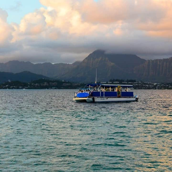 Luxury Cruise by Captain Bruceさんのインスタグラム写真 - (Luxury Cruise by Captain BruceInstagram)「おはようございます！⁠ ⁠ ⁠ ⁠ #captainbruce 🌴 #sandbar #kaneohe #hawaii #oahu #oahulife #vacation #ahuolaka #goodmorning #キャプテンブルース #天国の海ツアー #天国の海 #アフオラカ #ハワイ大好き #夏休み #絶景 #海⁠」8月30日 8時00分 - cptbruce_hi