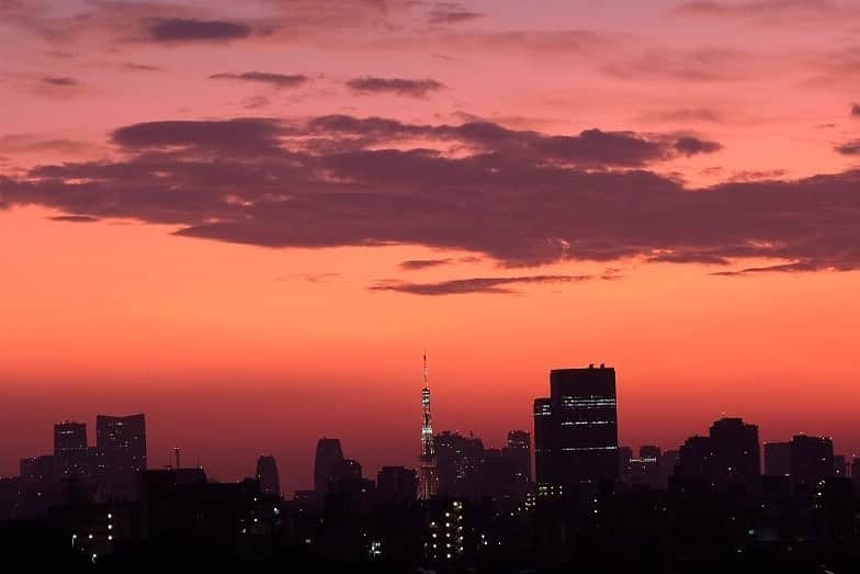 武智志穂さんのインスタグラム写真 - (武智志穂Instagram)「おはよ〜、東京🗼﻿ ﻿ ﻿ #朝焼け #東京 #東京タワー」8月30日 4時57分 - shiho_takechi