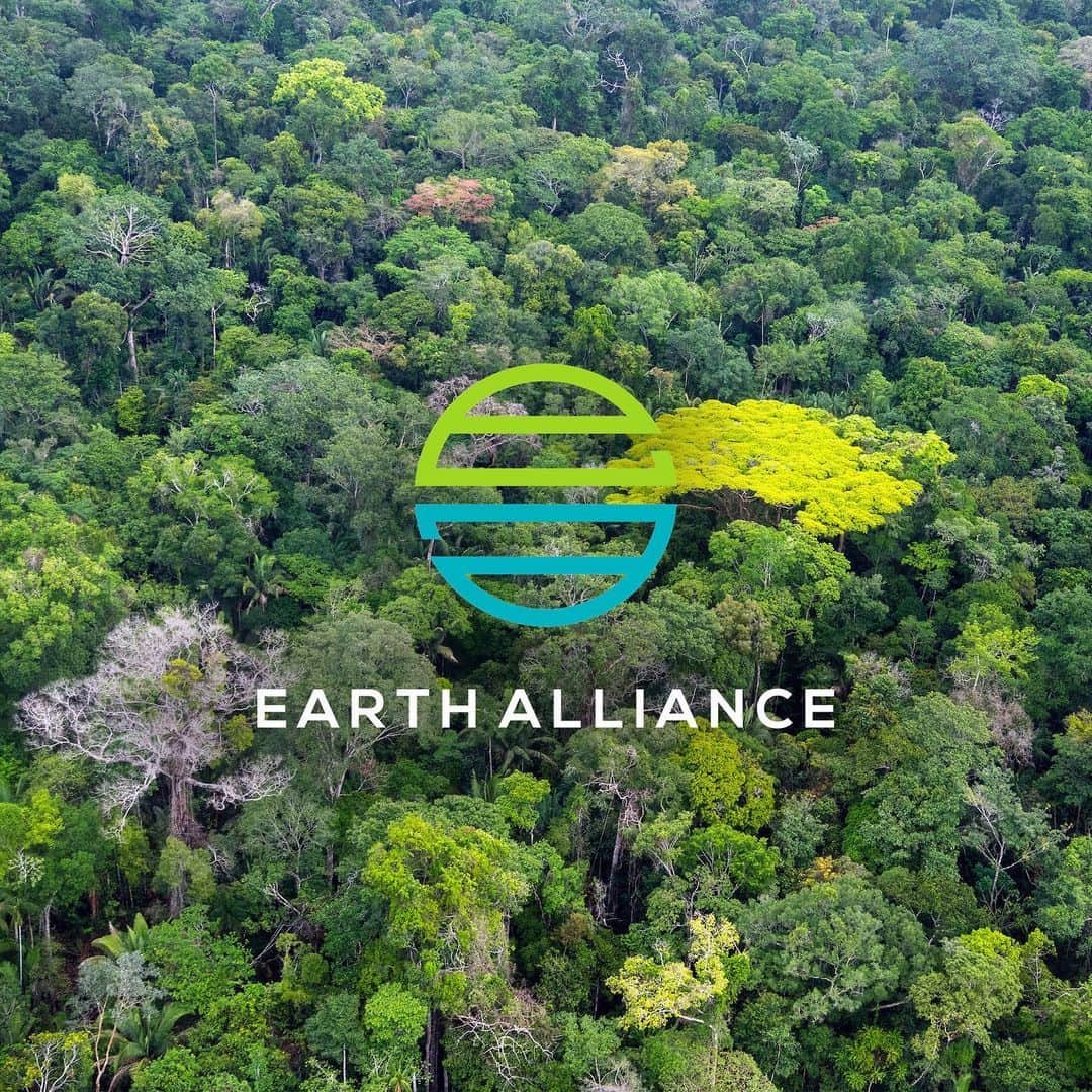 レオナルド・ディカプリオさんのインスタグラム写真 - (レオナルド・ディカプリオInstagram)「Thank you to more than 22,000 people who have donated to support the @EarthAlliance Amazon Forest Fund. Stay informed. Follow @EarthAlliance for updates and for more information on how to help protect the Amazon. Visit ealliance.org/amazonfund (link in bio) Photo: @danielbeltraphoto」8月30日 5時37分 - leonardodicaprio