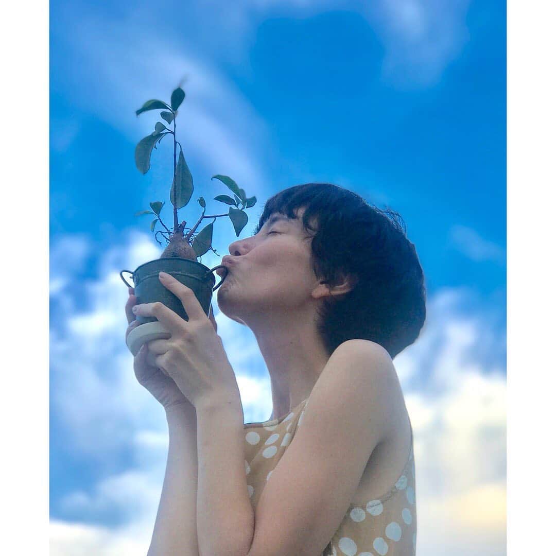 のインスタグラム：「今、世界中の森林が燃えていて、とくにアマゾン熱帯雨林が燃えてることが話題になってるんだけど、みんなはこのニュース知ってた？#prayforamazonia だよ。﻿ ﻿ アマゾンの森林を守るために個人でできることも色々あるんだ。﻿ でもまずは、森林保護や植林がとっても大事だってことを知ってほしくて、木が大事な理由を書いてみたよ。﻿ ﻿ 木を大好きになる14の理由﻿ ﻿ 1,酸素をつくってくれる。いっぱい呼吸できるのも木のおかげ﻿ ﻿ 2,温暖化や気候変動(日本だと異常気象とよばれることが多いかな？)の大きな原因である二酸化炭素を吸収してくれる﻿ ﻿ 3,大気中の汚染物質を浄化して美味しい空気をつくってくれる﻿ ﻿ 4,大気中の熱を吸収して、私達も地球も涼しくしてれる﻿ ﻿ 5,土を浄化してくれる。農薬など化学物質を蓄えるか害がない物質に変換してくれる。﻿ ﻿ 6,水を浄化してくれる(川や湖や海に住む生き物の快適な環境をつくる)﻿ ﻿ 7,騒音を吸収してくれる﻿ ﻿ 8,洪水、土砂災害から守ってくれる(木を植えて森が増えるほど洪水や土砂災害が減るそうです)﻿ ﻿ 9,木が多いと干ばつや水不足が減る﻿ ﻿ 10,日影をつくってくれる。木が充分生えてるとエアコンもいらないくらい涼しく過ごせる。(木が少ない都市はヒートアイランド現象で暑くなるんだって)﻿ ﻿ 11,風から守ってくれる﻿ ﻿ 12,食べ物を提供してくれる﻿ ﻿ 13,薬品の成分なども提供してくれる﻿ ﻿ 14,紙や家具、家の木材を提供してくれる﻿ ﻿ とか色々あるよね！﻿ ﻿ みんなはどんな理由で木が大事？﻿ ﻿ There are quite a lot of things we can do to protect forest ( including the Amazon rainforest!) But first of all, I decided to share the reason to love trees and protect them and plant them more!!﻿ ﻿ Lots of reason to LoVE trees﻿ ﻿ They make Oxygen so that we can breathe.﻿ They clean the soil, water and the air!!﻿ They reduce the heat, wind and urban noise.﻿ They protect us from flooding, drought, snow drifts and soil erosion.﻿ ﻿ If enough amount of the trees grow on Earth, they will protect us from Climate change !!﻿ ( I know trees aren’t the only solution but one of the most important one! )﻿ ﻿ What else do you love about trees????」