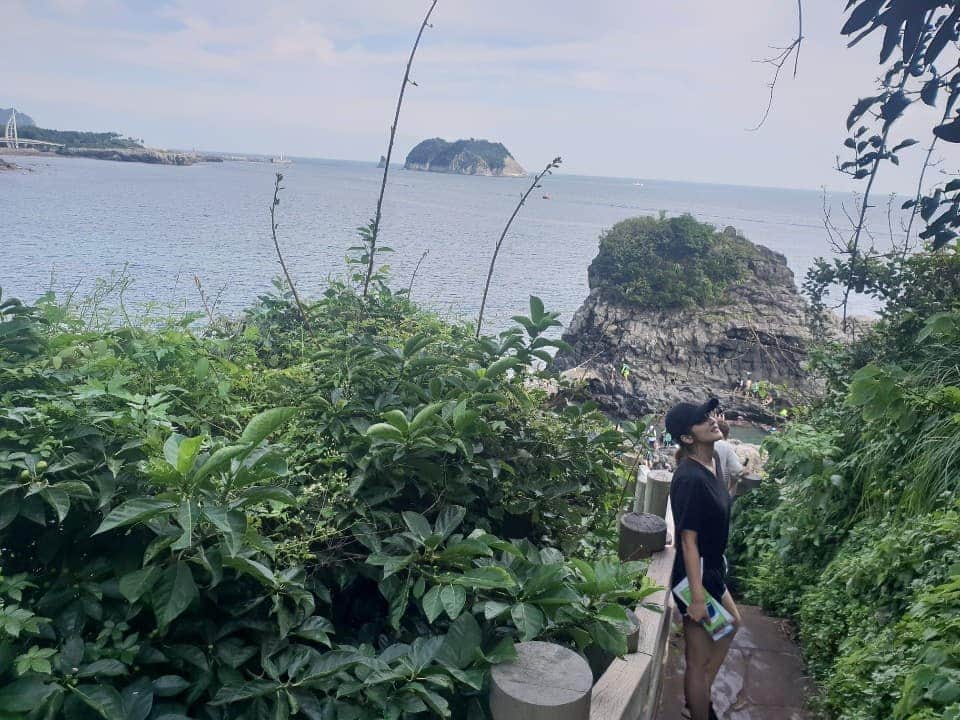 ジヒョン さんのインスタグラム写真 - (ジヒョン Instagram)「🌴🌵🌲🌳🍀☘🌿 초록초록하다 파랑파랑하다 Love jeju」8月30日 15時58分 - jihyunilovee