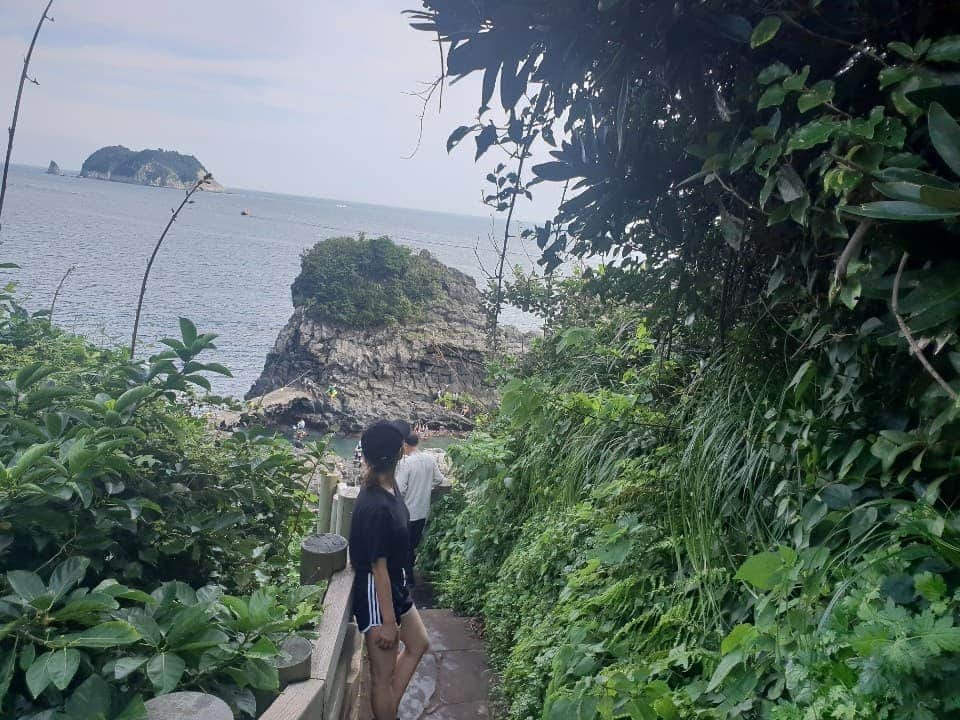 ジヒョン さんのインスタグラム写真 - (ジヒョン Instagram)「🌴🌵🌲🌳🍀☘🌿 초록초록하다 파랑파랑하다 Love jeju」8月30日 15時58分 - jihyunilovee