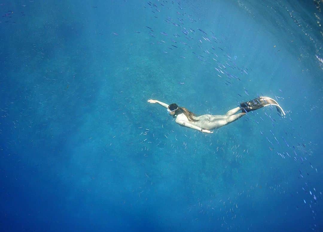 福田朋夏さんのインスタグラム写真 - (福田朋夏Instagram)「昨日は小魚に囲まれてのトレーニング🐟🐟🐟🐟✨✨ 綺麗すぎて夢の世界みたいだった Photo by @hkr_1225_freediving  #freediving #training #oceanlovers #underwater #okinawa」8月30日 8時05分 - tomoka_fukuda