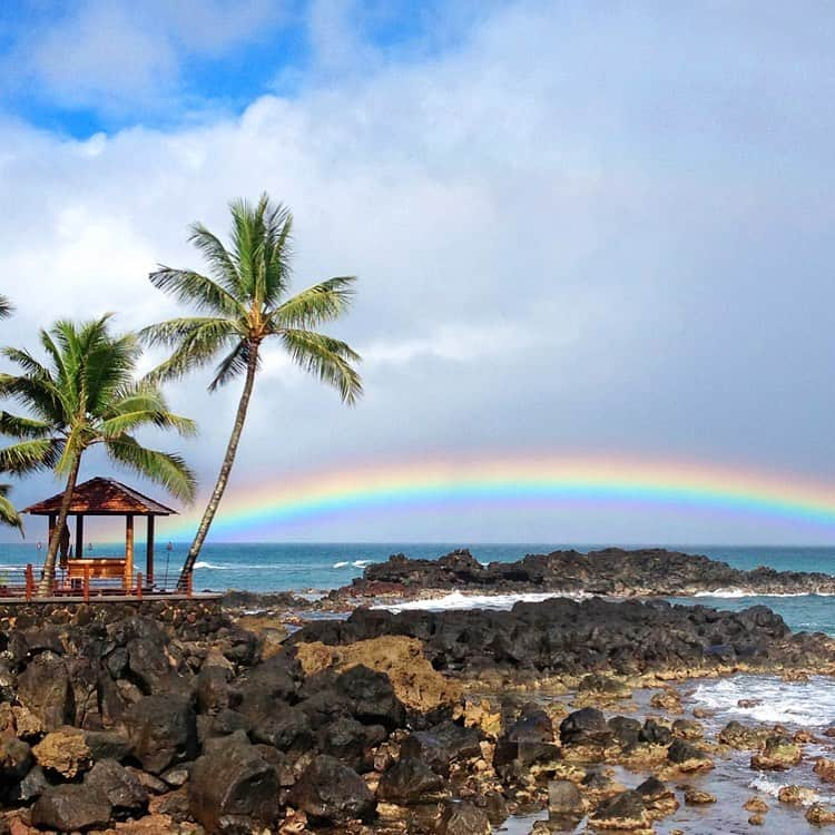 クラーク・リトルさんのインスタグラム写真 - (クラーク・リトルInstagram)「)(awaii 🌴🌈 #clarklittle 🆑」8月30日 8時56分 - clarklittle