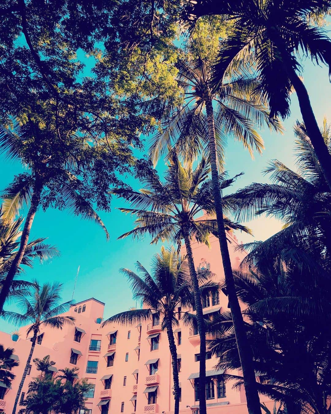 のインスタグラム：「. . The Pink Palace of the Pacific💕 . #lillyandemma #hawaii #feelaloha #luckywelivehi #luckyliveinhawaii #instagood #photooftheday #love #happy #aloha #royalhawaiian #onlyattheroyal #waikiki #ハワイ #バケーション #ロイヤルハワイアン #ハワイ好き #ハワイ好きな人と繋がりたい」