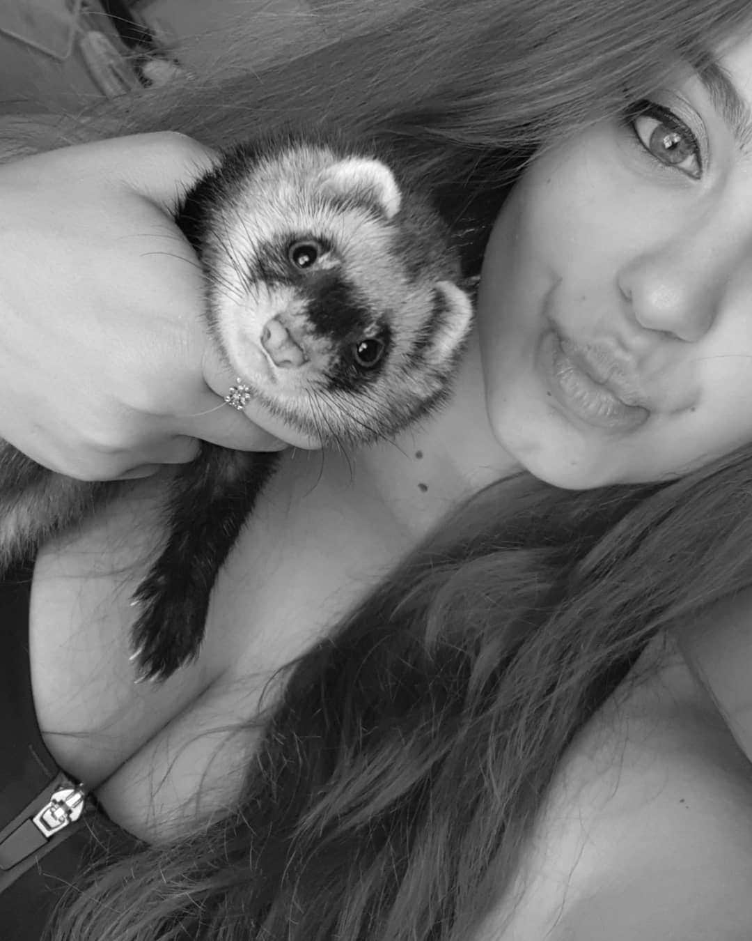 ゴーダ・ブトクテさんのインスタグラム写真 - (ゴーダ・ブトクテInstagram)「Already miss my cutie ferret 🖤🖤🖤 . . . . . #ferret #myferret #selfie #blackandwhitephotography #lithuaniangirl #pickofthday #picsart #eyeliner #blackandwhite #longhair」8月30日 9時41分 - godabutkute