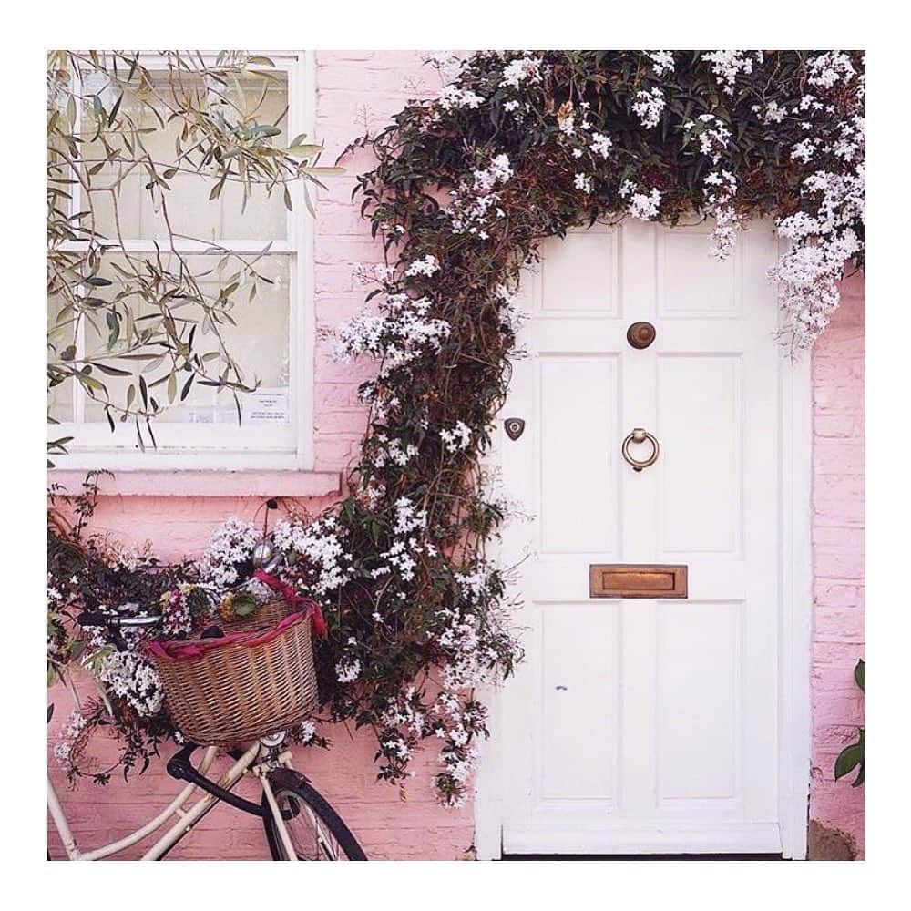 のインスタグラム：「This PINK 🌸 #cocoribbon #colourcrush #happyfriday 🙌🏼 RG @racheljames__」
