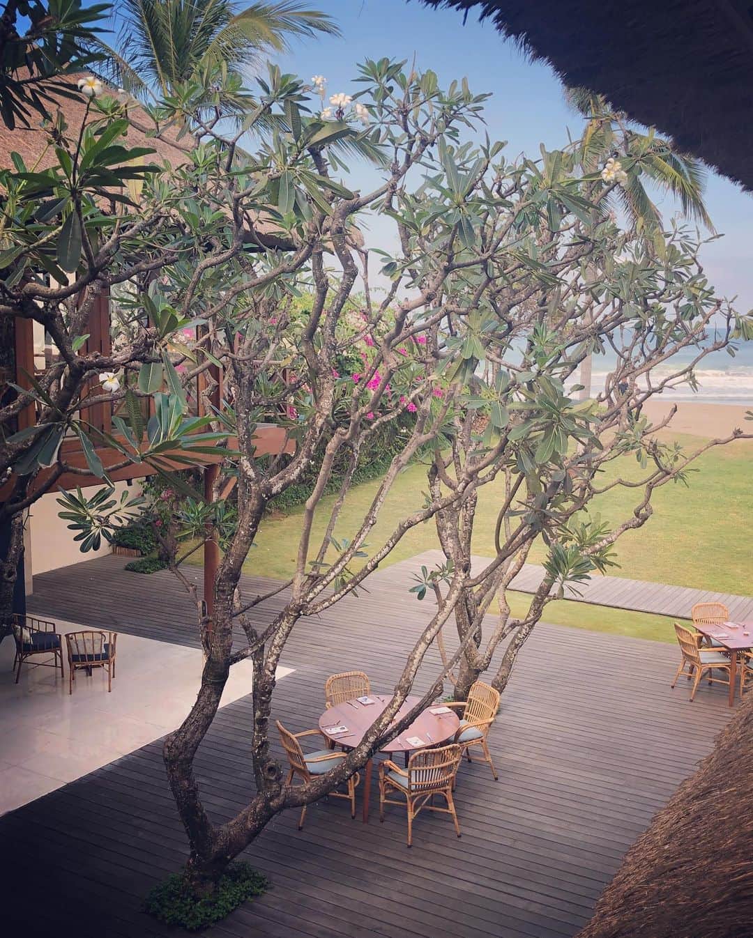 白木夏子さんのインスタグラム写真 - (白木夏子Instagram)「こんなところに住みたい🌴いいなあ、バリ島は緑がいっぱい。熱帯大好き  #ハウスケーション #ステイケーション #リゾート #屋上リゾート #staycations #housecation #rooftop」8月30日 10時00分 - natsukoshiraki