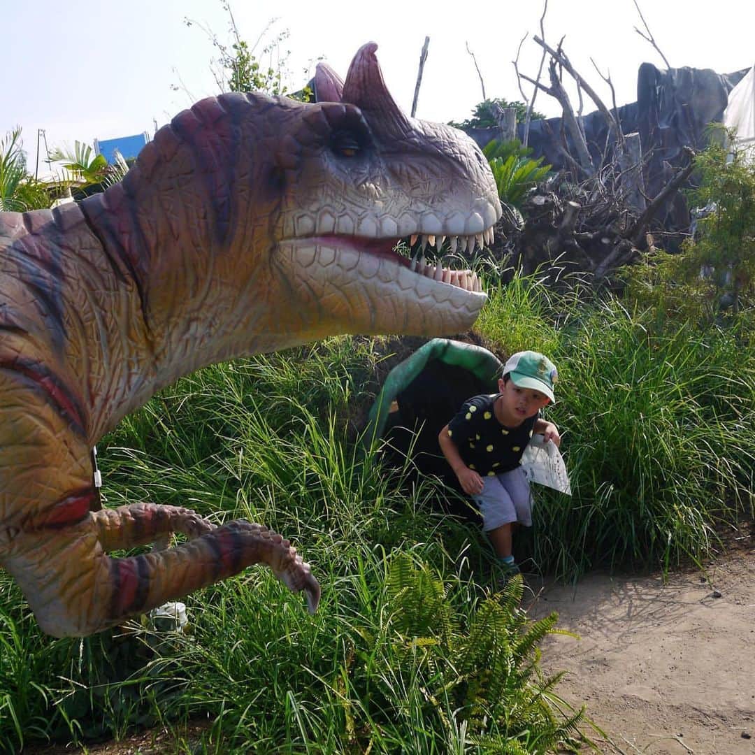 iko-yo（いこーよオフィシャル）さんのインスタグラム写真 - (iko-yo（いこーよオフィシャル）Instagram)「・﻿ ーーーーーーーーーーーーーーーーーー﻿ ユーザー投稿pic紹介😎🌴🌺﻿ ーーーーーーーーーーーーーーーーーー﻿ ﻿ 🗣️caption💭﻿ 横須賀恐竜パーク2019﻿ ﻿ 恐竜時代にタイムスリップ！﻿ ﻿ 動く恐竜に恐竜時代の自然も再現されていて、恐竜がいた時代を体感できた！﻿ ﻿ ✨pick up✨﻿ ♥️ @chipiro17﻿ 🗾 神奈川県横須賀市﻿ 🏛 #うみかぜ公園 ﻿ #横須賀恐竜パーク2019 ﻿ ﻿ 💟 events 💟﻿ 大型恐竜イベント「ヨコスカ恐竜パーク2019」は﻿ 9月8日（日）まで開催中！﻿ 完全屋外型の恐竜展で、動く恐竜に会えるほか﻿ アトラクションやワークショップも楽しめます✨﻿ 🈁https://iko-yo.net/articles/4723﻿ ﻿ 🐾いこーよ公式インスタグラム🐾﻿ @ikoyo_official では、子育てやおでかけに関する写真を募集しています﻿ ﻿ まずは、 @ikoyo_official をFollow 📲﻿ その後は、#いこーよ をタグ付けしてインスタグラムを投稿してください😆♥️﻿ ﻿ とくに魅力的な写真は、公式instagramをはじめ、いこーよ内の記事でも紹介&使用させていただく場合がございます👌﻿ ﻿ 子どもに関するものなら、どんなものでもOK🙆‼︎﻿ 親子でおでかけした思い出や、お子さんとの日常など、沢山のご投稿お待ちしております‼︎ ✨﻿ ﻿ #いこーよ #子どもとお出かけ #夏休み #恐竜展 #ヨコスカ恐竜パーク」8月30日 10時01分 - ikoyo_odekake