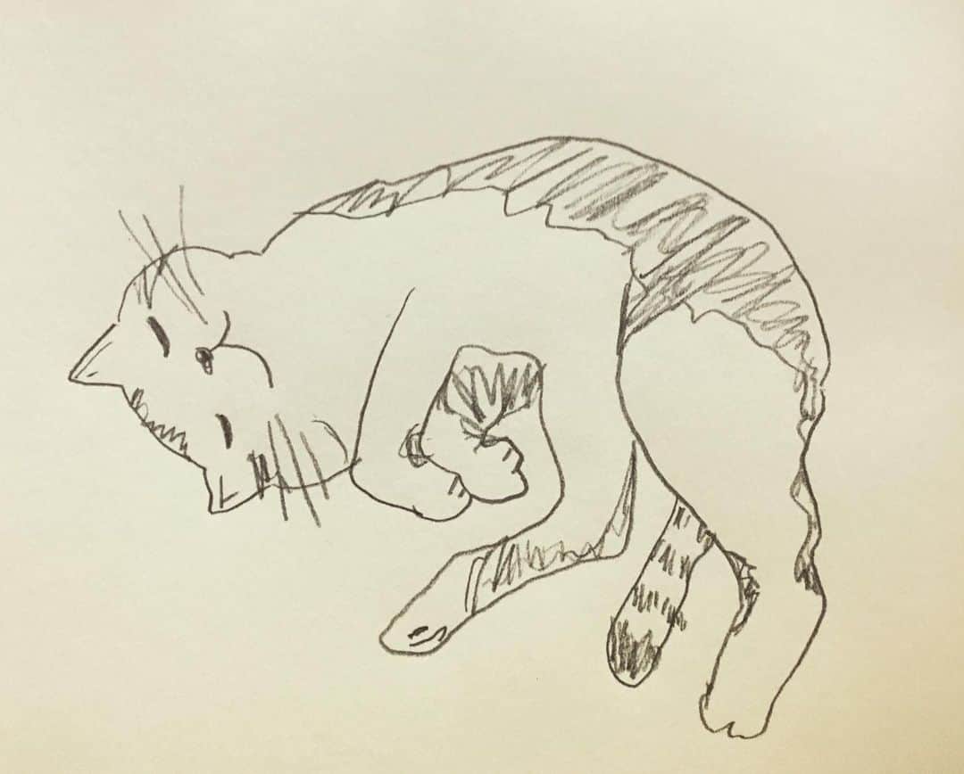 野本かりあのインスタグラム：「今日は何も無いし、外は雨だし、猫みたいに生きよう。 #落書き #lukarly #catsofinstagram #にゃんすたぐらむ」