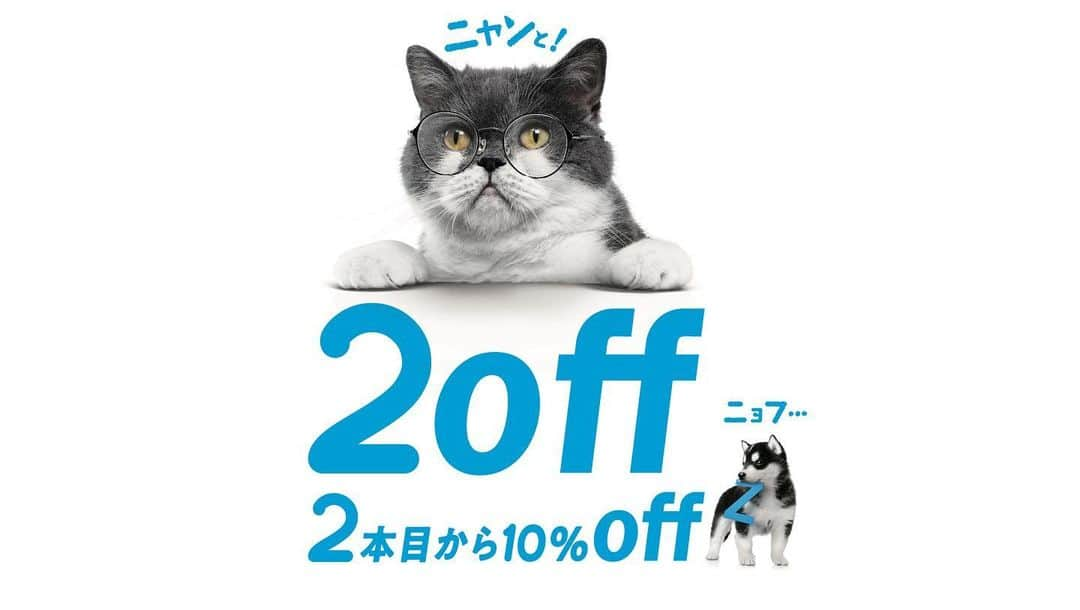 茶太郎 & きなこさんのインスタグラム写真 - (茶太郎 & きなこInstagram)「【キャンペーンのお知らせにゃ】 茶太郎師匠が🐾広告出演中の✨ メガネ屋のZoffでは９月２０日（金）まで❤️ ２本以上購入で🕶🕶 １０％offキャンペーンを実施中にゃりよ🐾💕 https://www.zoff.co.jp/shop/contents/2off.aspx 引き締まったボディの茶太郎師匠のサングラス姿🕶 似合ってるかにゃ😽 Campaign information🕶🐾 @zoff_eyewear #Zoff #2off #ニョフ #メガネ #PR #茶太郎 #ニャンスタグラム #猫好きさんと繋がりたい #猫好き #猫 #ネコ #猫部 #ネコ部 #マンチカン」8月30日 11時31分 - amaccho5160