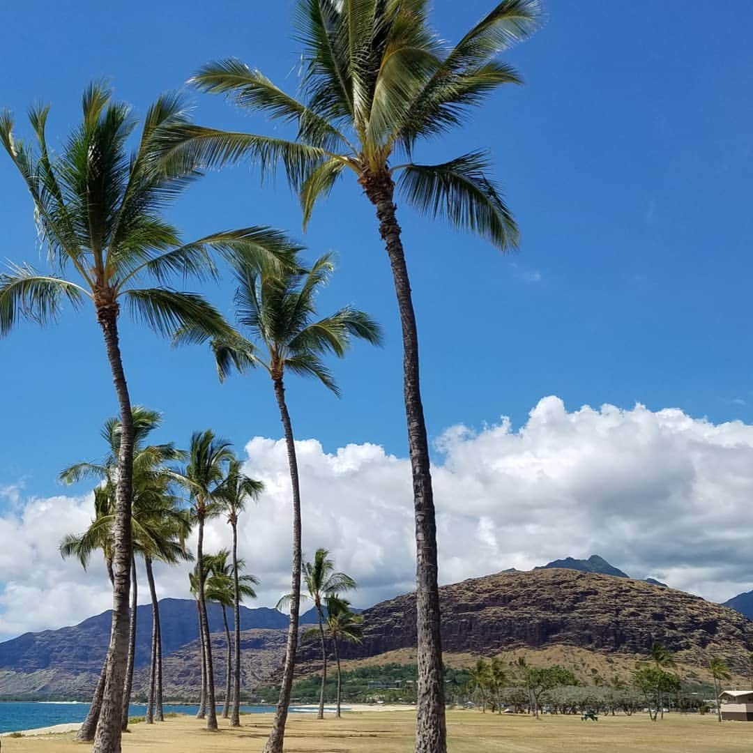 小錦千絵（TAUPOU）さんのインスタグラム写真 - (小錦千絵（TAUPOU）Instagram)「Maili Beach Park🏖️ 最高のビーチ🌊🐚⚓ #ビーチ #beach  #mailibeachpark  #maili  #konishikishouse  #konishiki夫婦」8月30日 11時27分 - taupou52