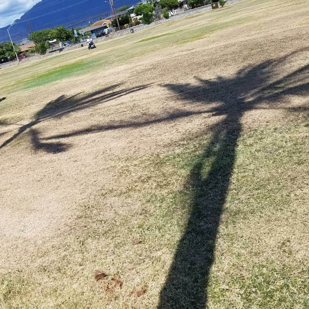 小錦千絵（TAUPOU）さんのインスタグラム写真 - (小錦千絵（TAUPOU）Instagram)「Maili Beach Park🏖️ 最高のビーチ🌊🐚⚓ #ビーチ #beach  #mailibeachpark  #maili  #konishikishouse  #konishiki夫婦」8月30日 11時27分 - taupou52