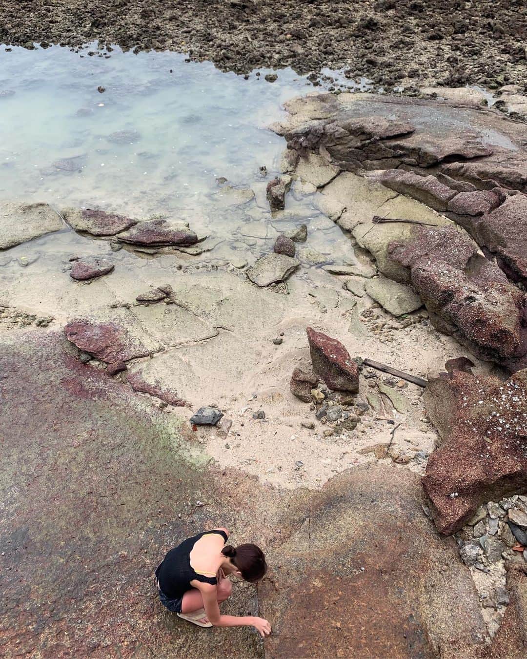 ダソム さんのインスタグラム写真 - (ダソム Instagram)「게랑 고둥 엄청 많다🦀 바다 너무 좋아」8月30日 11時47分 - som0506