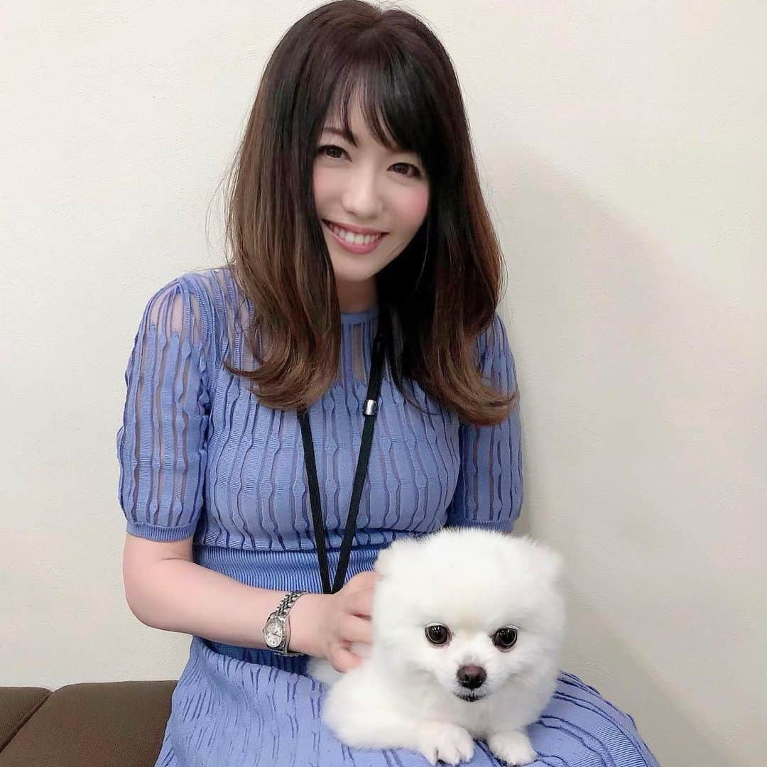 足木優さんのインスタグラム写真 - (足木優Instagram)「7/5❤︎名古屋MOGU 初ゲスト🙋‍♀️✨ 補佐🐶かわいすぎたーーー！！ #名古屋 #mogu #わんちゃん #初 #げすと #かわいすぎるいぬ」8月30日 11時56分 - ashikiyuu