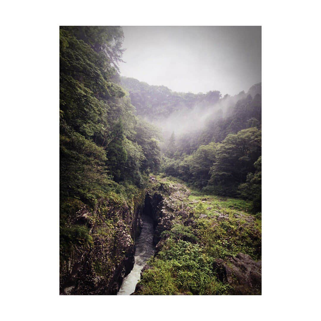 高木紗友希さんのインスタグラム写真 - (高木紗友希Instagram)「* * 宮崎旅行✈︎ 高千穂峡、高千穂神社。 * この日は靄がかかっていて、 とても神秘的でした。 * * #juicejuice #高木紗友希 #宮崎県 #宮崎 #高千穂 #高千穂神社 #高千穂峡 #旅人さゆべぇ」8月30日 12時10分 - sayuki_takagi.official