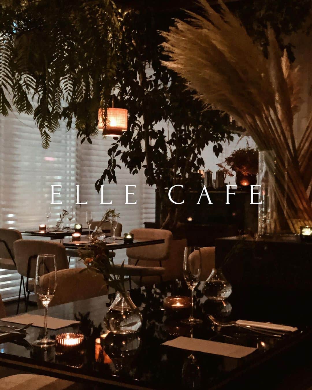 仲村美香のグルメインスタ