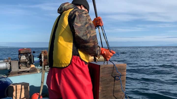 雲母翔太のインスタグラム：「これがタコの採り方🐙  #北海道 #タコ #ちゅーちゅータコかいな」