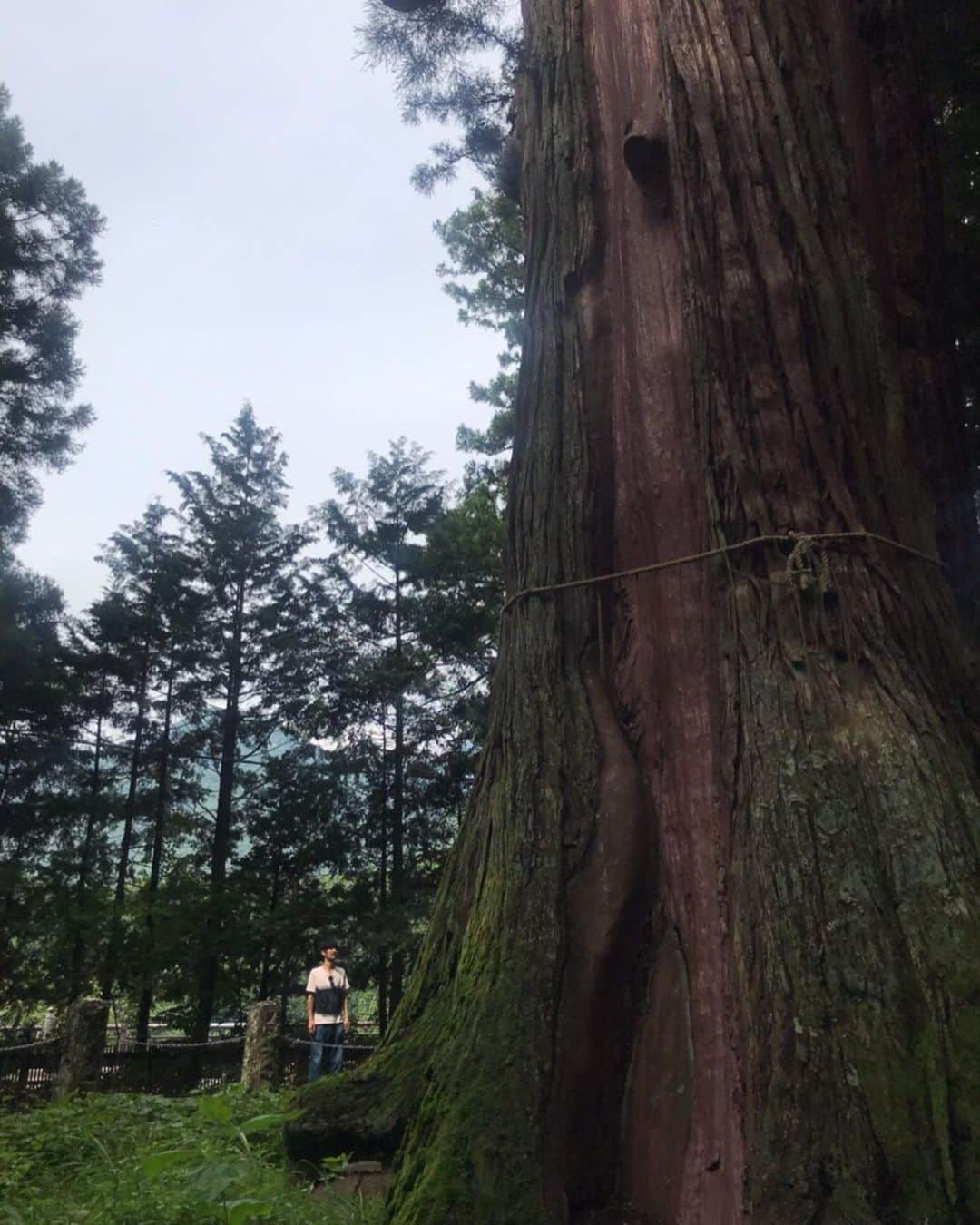 濱田将充さんのインスタグラム写真 - (濱田将充Instagram)「先日那須塩原あたりの自然と動物を満喫してきました。 夏休み」8月30日 14時23分 - masamichihamada