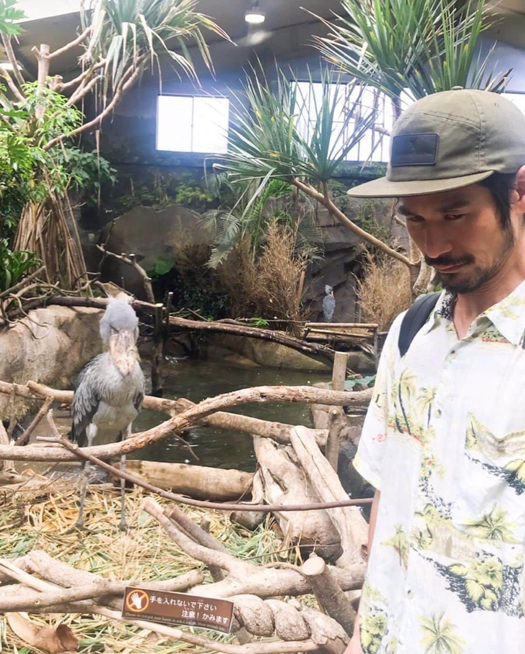 濱田将充さんのインスタグラム写真 - (濱田将充Instagram)「先日那須塩原あたりの自然と動物を満喫してきました。 夏休み」8月30日 14時23分 - masamichihamada