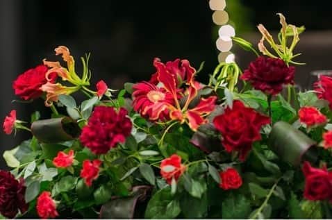 ガーデンテラス宮崎ホテル＆リゾートさんのインスタグラム写真 - (ガーデンテラス宮崎ホテル＆リゾートInstagram)「新郎様から新婦様へ サプライズプロポーズ💐 新婦様が好きなバラの花🌹 100本のバラの花束を お渡ししました！ サプライズは大成功✨  そんなお2人の テーブル装花にも バラを取り入れ会場全体 かっこ良くコーディネート✨  #結婚式#結婚式場#ウエディング#ガーデンテラス宮崎#ガーデンテラス#宮崎市結婚式場#garden terracemiyazaki#marry #宮崎市#オリジナルウエディング#プレ花嫁#プレ花嫁さんと繋がりたい#宮崎花嫁#宮崎の結婚式場#結婚式準備#プラコレ#フォトジェニック#みんなのウエディング#卒花#自由な結婚式#隈研吾#ホテルウエディング#インスタ映え#サプライズ#プロポーズ#サプライズ花束」8月30日 14時27分 - gardenterracemiyazaki