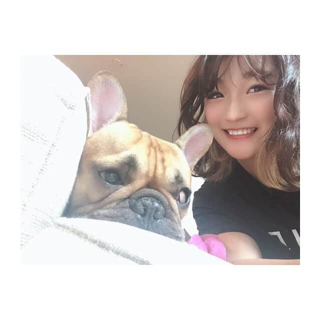 RENA（久保田玲奈）さんのインスタグラム写真 - (RENA（久保田玲奈）Instagram)「パパ(みたらし)と娘(おかき)👨‍👧❤️ 最高の癒し。。。 ばぁば(私)は明日も頑張れそうです  #フレンチブルドッグ」8月31日 1時04分 - sb_rena