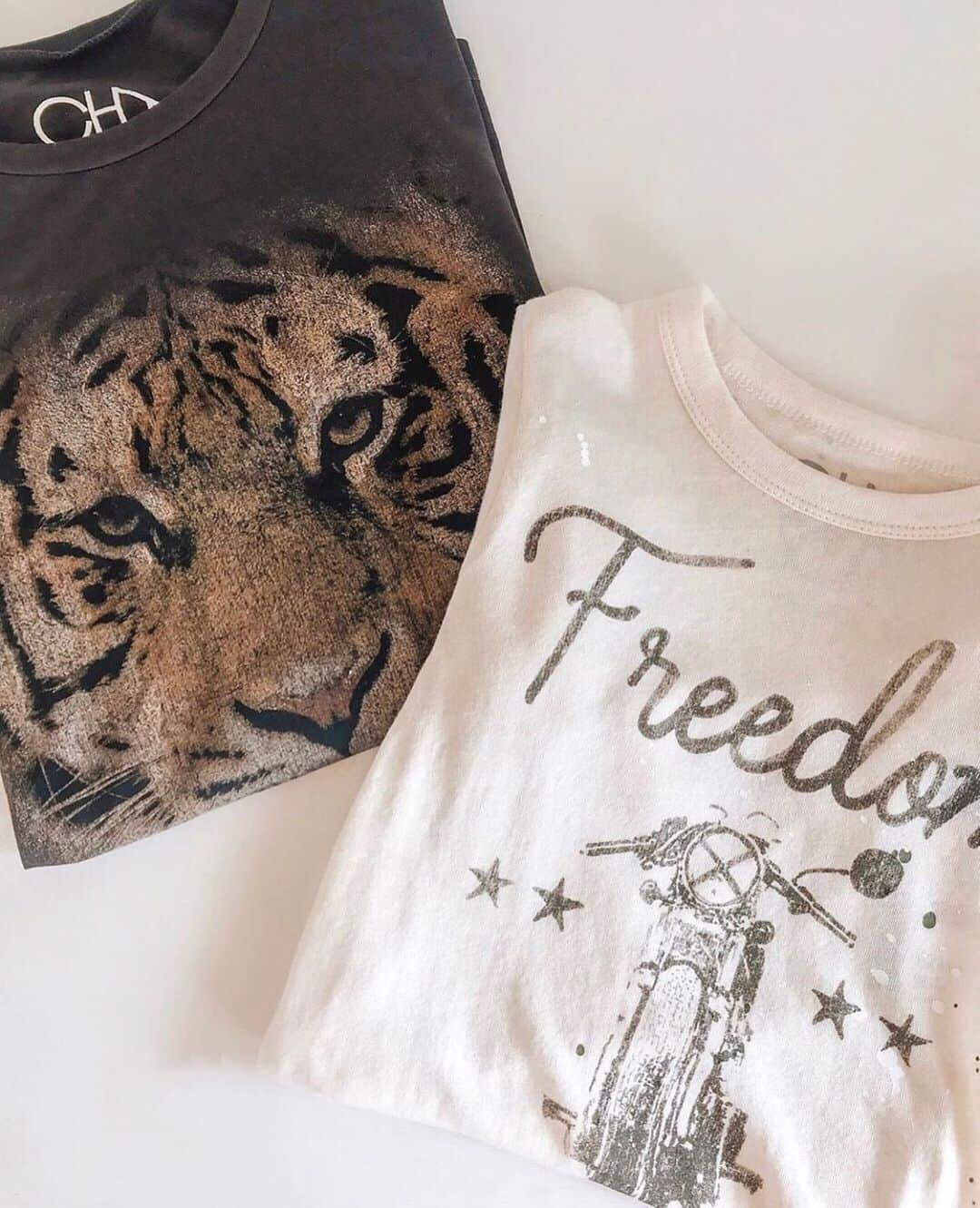 チェイサーのインスタグラム：「name a cuter graphic duo⚡️ @shandystyleboutique #chaserbrand #gaphictee #cutetee #tshirt」