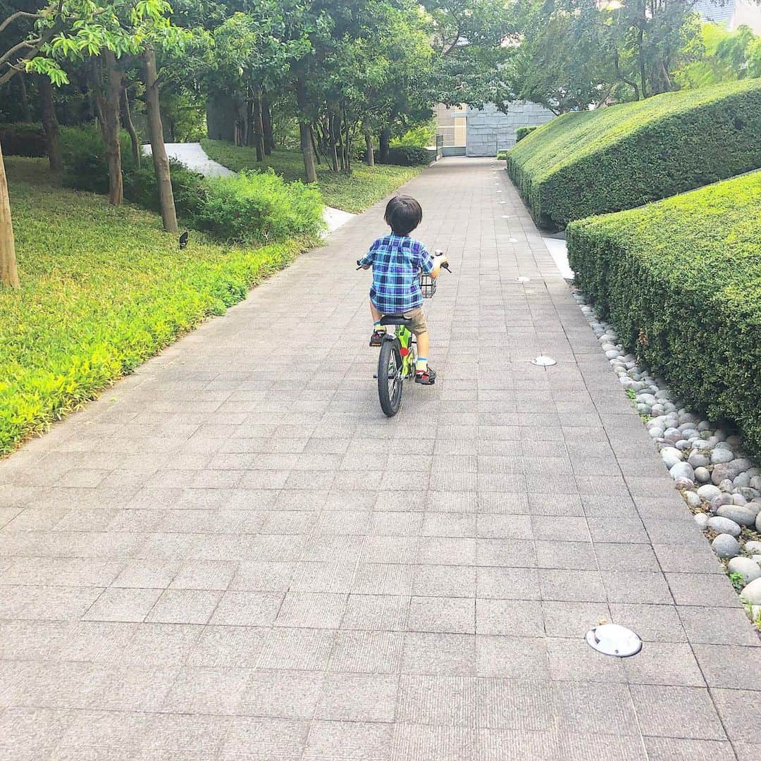関有美子のインスタグラム：「👦👦👦👦👦 . . 年長さん息子 この夏ついにイヤイヤながら 自転車の補助輪を外しました😂 . . しかし場所は 東京コンクリートジャングル。 私が昔練習していたような だだっ広い広場なんてない😂 ただ一つ昔と違うのは インターネットという文明の力があること。 あっという間に乗れる練習方法を検索する親、それは私。笑 狭い空間ながら 裏ワザにより 二時間で補助輪さよなら😂 こんにちは、二輪！！ . . そんな最近です。 そして、 #算数検定7級 (小5) #漢字検定8級 (小3) #珠算検定6級  合格しました。 他にピアノも始めて一年経ちました。 色々なことを多角的にしているほうが 息子も視野が広がって 意味が理解しやすいようです。 子供が飽きない様に 今している事が 世の中のどの部分に結びついて来るのかが分かるように 伝えるように気をつけて 教えながら私も学んでいます。 大学時代 某塾の塾講師や家庭教師をしていて 予定を立てたり教えたりするのが とても好きな私は 息子の成長がとても嬉しい 今日この頃です。 . . . そんな息子 先日 「ねえねえ、そういえば そろそろランドセル買って欲しいんだけど。」 「...😱」 . . すっかり忘れていたアホ母😨 そのおかげで 息子はどんどんしっかりしていく。。 のかもしれない😘笑 そういえば来年は 小学生だった。 呑気に成長喜んでる場合違う😂 週末ランドセル見に行こう!w . . #5歳#6歳#年長#自転車#補助輪なし#漢検#漢字検定#算数検定#算検#公文#くもん#算盤#珠算#珠算検定#年長組#年長男子#2児母#兄妹#日本珠算連盟#算数検定8級#ピアノ#保育園#漢字検定9級#家庭学習#6歳男子」