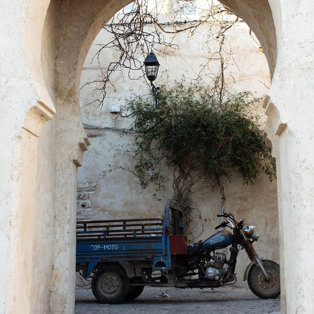 玉木宏さんのインスタグラム写真 - (玉木宏Instagram)「#tanjer #morocco #飼い主どこ」8月31日 1時52分 - hiroshitamaki_official