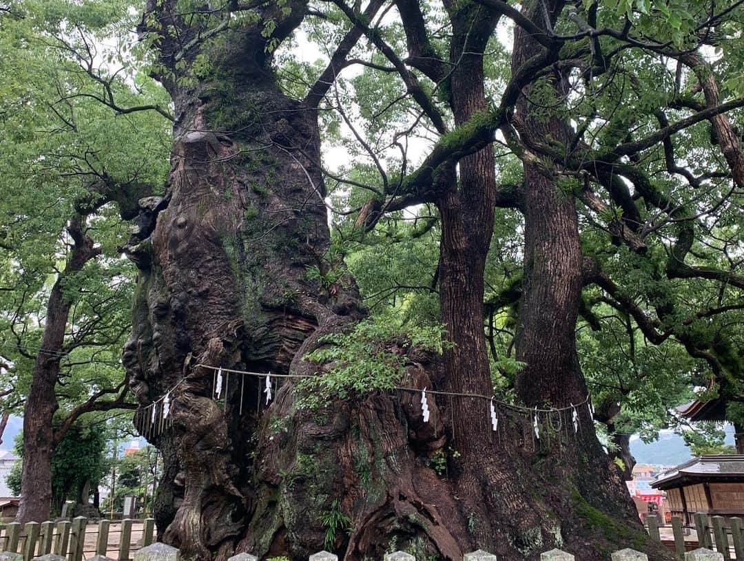 青山有紀さんのインスタグラム写真 - (青山有紀Instagram)「久しぶりの福岡」8月30日 17時28分 - yukiaoya