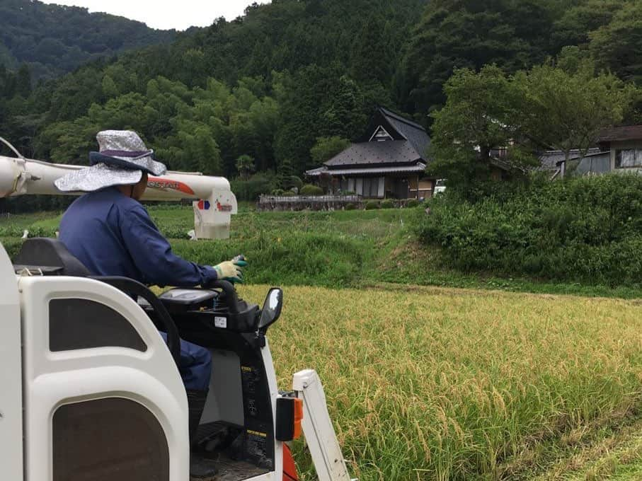 白鶴酒造株式会社のインスタグラム