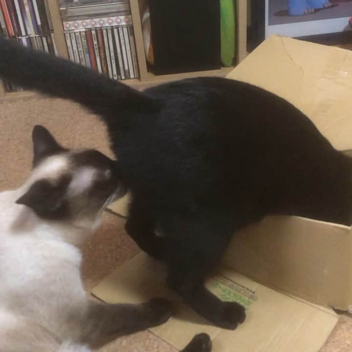 MAKO0MAKO0のインスタグラム