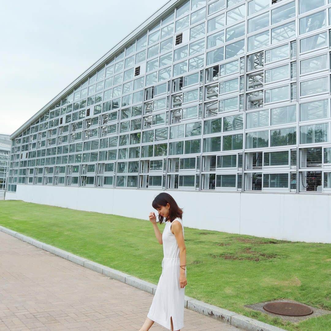 筧沙奈恵さんのインスタグラム写真 - (筧沙奈恵Instagram)「多摩の魅力発信プロジェクト  @tamahatsu_official で、家族で神代植物公園に行ってきました♪ ・ 東京都調布市にある東京都立の植物公園。都立としては唯一の植物公園。 ・ 広々としているので、歩きたい盛りのお子さんといくのもよし、家族でピクニックがてら行くのもよし✨ ・ 特に温室がおもしろかった😍蘭やバラ、サボテンなど、種類ごとに分かれて様々なお部屋があります😊 ・ サボテンって見てるとなんだか癒される🌵このサボテン、なんかかわいいねー！と親子で盛り上がりました😍 ・ #たま発  #tamahatsu  #PR  #多摩の魅力発信プロジェクト #神代植物公園 #子連れお出かけ #家族でお出かけ #多摩 #子連れ #家族 #親子 #サボテン #植物公園」8月30日 18時29分 - sanaekakei
