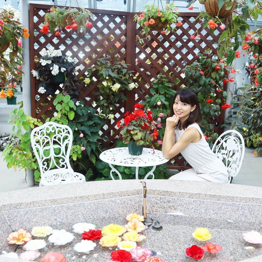 筧沙奈恵さんのインスタグラム写真 - (筧沙奈恵Instagram)「多摩の魅力発信プロジェクト  @tamahatsu_official で家族で神代植物公園に行った時の続き❤️ ・ 温室の中でも、やはりバラのお部屋は気分が上がりました🌹 ・ バラって無条件に気分が上がるのは私だけでしょうか？😍 ・ 2枚目は娘とデート気分の夫と、何やらツレないように見える娘👧笑 ・ #たま発  #tamahatsu  #PR  #多摩の魅力発信プロジェクト #神代植物公園 #子連れお出かけ #家族でお出かけ #多摩 #子連れ #家族 #親子 #バラ #rose #植物公園」8月30日 18時56分 - sanaekakei