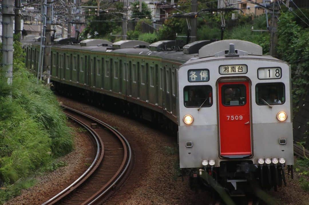 徳永ゆうきさんのインスタグラム写真 - (徳永ゆうきInstagram)「7000系を鶴ヶ峰でも。 #鉄道写真 #撮り鉄 #鉄道好き #相鉄 #相模鉄道 #鶴ヶ峰 #7000系 #各停 #各駅停車 #湘南台行き #カーブ」8月30日 19時00分 - tokuchan_1113